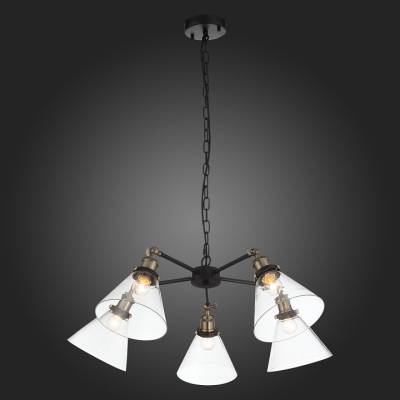 Подвесная люстра ST-Luce Evoluto SL237.413.05 фото