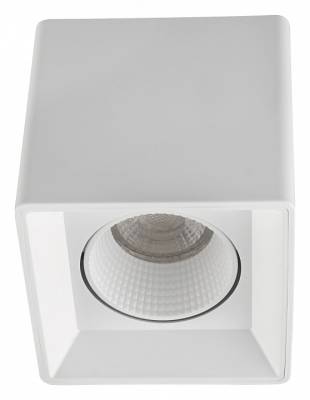 Накладной светильник Denkirs DK3020WW DK3080-WH фото