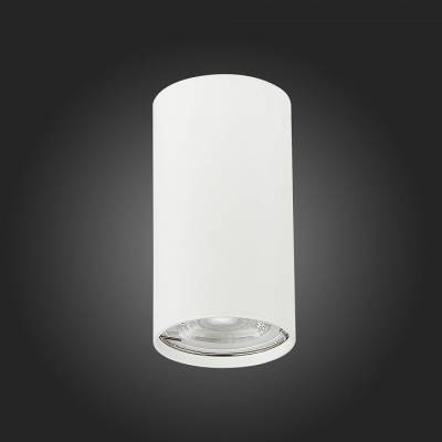 Накладной светильник ST-Luce Simplus ST110.507.01 фото