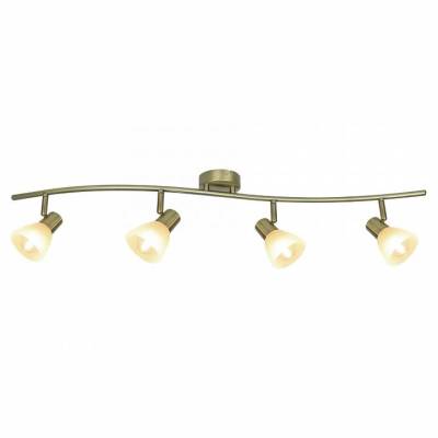 Спот Arte Lamp Parry A5062PL-4AB фото