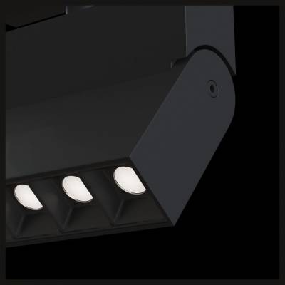 Светильник на штанге Maytoni Track lamps TR015-2-10W4K-B