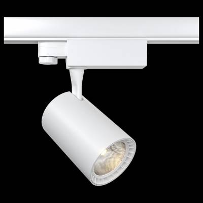 Светильник на штанге Maytoni Vuoro TR029-3-10W3K-W фото