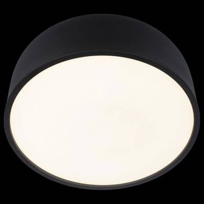 Накладной светильник Loft it Axel 10201/350 Black фото