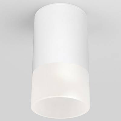 Накладной светильник Elektrostandard Light LED 35139/H белый фото