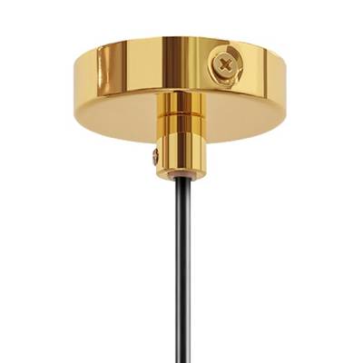 Подвесной светильник Lightstar Loft 765018 фото