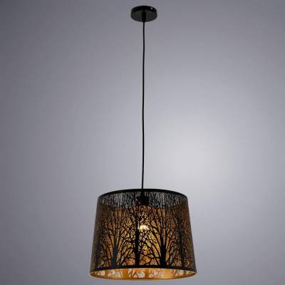 Подвесной светильник Arte Lamp Celesta A2769SP-1BK фото