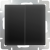 WL08-SW-2G/Выключатель двухклавишный (черный матовый) фото
