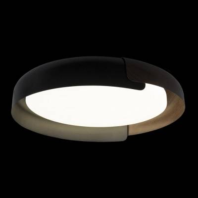 Накладной светильник Loft it Coin 10198 Black фото
