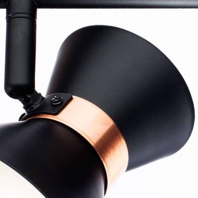 Спот Arte Lamp Baltimore A1406AP-2BK фото