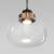 Подвесной светильник Eurosvet Jeffry 50241/1 LED прозрачный фото