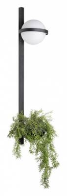 Бра Loft it Jardin 10121W/B фото