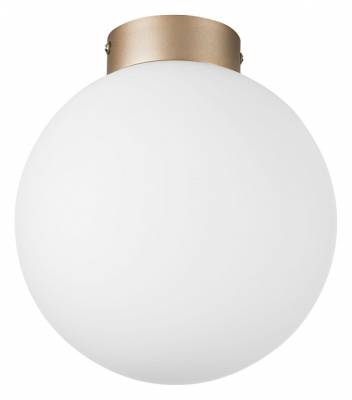 Накладной светильник Lightstar Globo 812023 фото