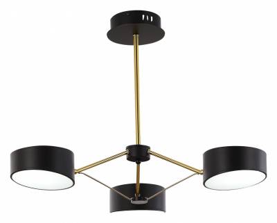 Люстра на штанге EVOLUCE Valle SLE6005-402-03 фото