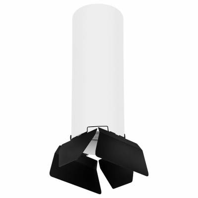 Накладной светильник Lightstar Rullo 3 R6496487 фото