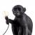 Зверь световой Seletti Monkey Lamp 14922 фото