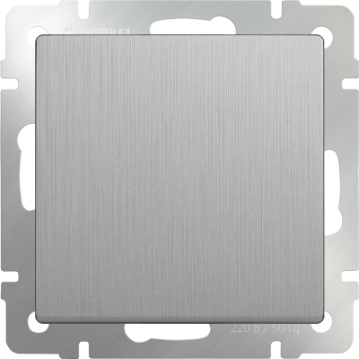 WL09-SW-1G / Выключатель одноклавишный (cеребряный рифленый) фото