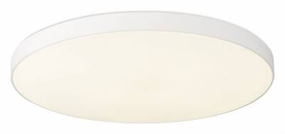 Накладной светильник SIMPLE STORY 1204 1204-LED48CL фото