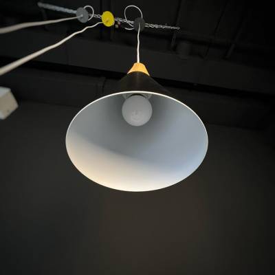 Подвесной светильник Imperiumloft Xd-A XD1 фото