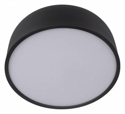 Накладной светильник Loft it Axel 10201/350 Black фото