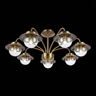 Потолочная люстра EVOLUCE Garonni SLE110102-07 фото