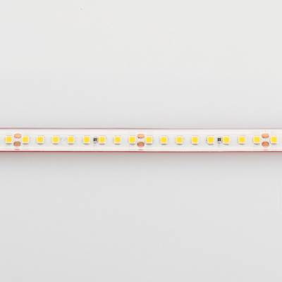 Лента светодиодная Arlight RTW герметичная 024545(2) фото