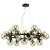 Подвесной светильник Arte Lamp 1664 A1664SP-25BK фото
