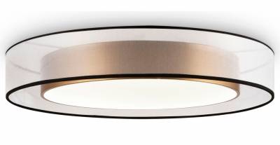 Накладной светильник Freya Zoticus FR6005CL-L48G фото