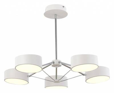 Люстра на штанге EVOLUCE Valle SLE6005-502-05 фото