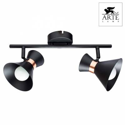 Спот Arte Lamp Baltimore A1406AP-2BK фото