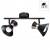 Спот Arte Lamp Baltimore A1406AP-2BK фото