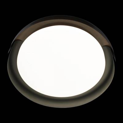 Накладной светильник Loft it Coin 10198 Black фото