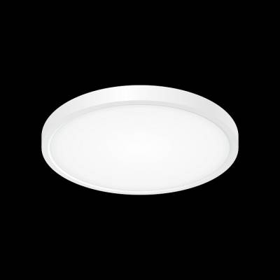 Накладной светильник Citilux Бейсик CL738240V