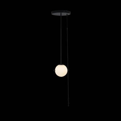 Светильник на штанге Loft it Signal 10029PS Black фото