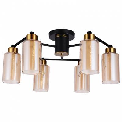 Потолочная люстра Arte Lamp Leo A7027PL-6BK фото