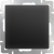 WL08-SW-1G-2W/Выключатель одноклавишный проходной (черный матовый) фото