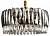Подвесной светильник Lussole LSP-8604 LSP-8604 фото