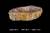 Раковины из окаменелого дерева 65-69 см