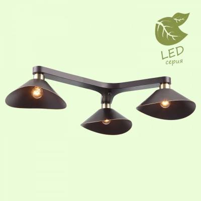 Потолочная люстра Lussole Opelika GRLSP-9534 фото
