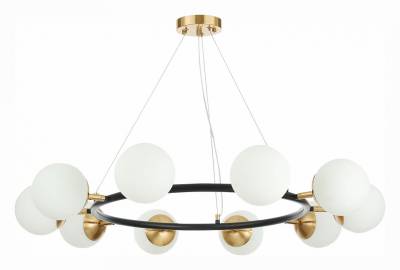 Подвесная люстра EVOLUCE Forli SLE220403-10 фото
