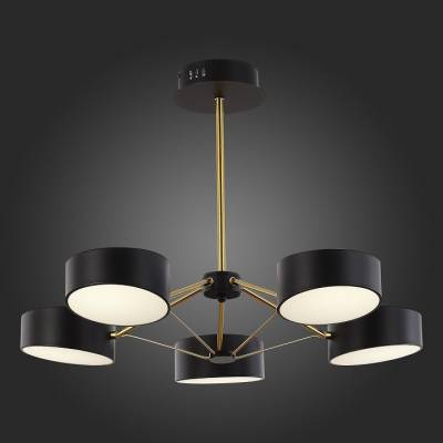 Люстра на штанге EVOLUCE Valle SLE6005-402-05 фото
