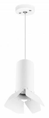 Подвесной светильник Lightstar Rullo RP486436 фото