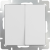 WL01-SW-2G-2W / Выключатель двухклавишный проходной (белый) фото
