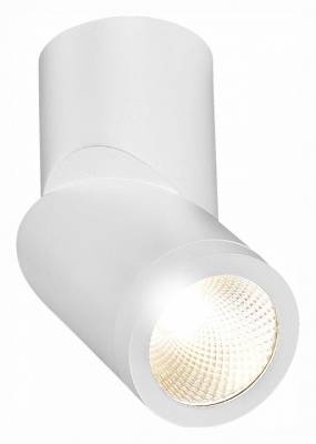 Светильник на штанге ST-Luce ST650 ST650.532.10 фото
