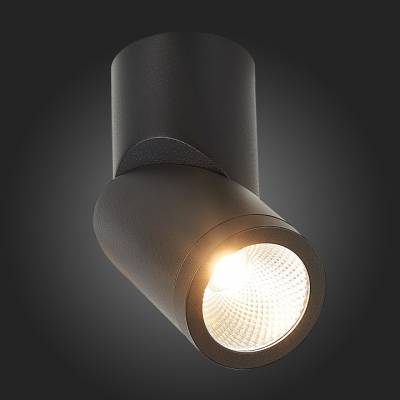 Светильник на штанге ST-Luce ST650 ST650.432.10 фото