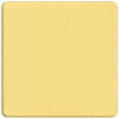 фото заглушка с суппортом fede цвет: светлое золото
