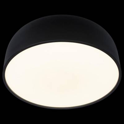 Накладной светильник Loft it Axel 10201/480 Black фото