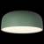 Накладной светильник Loft it Axel 10201/480 Green фото