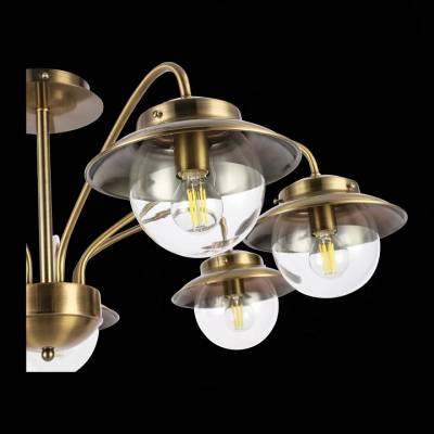 Потолочная люстра EVOLUCE Garonni SLE110102-07 фото