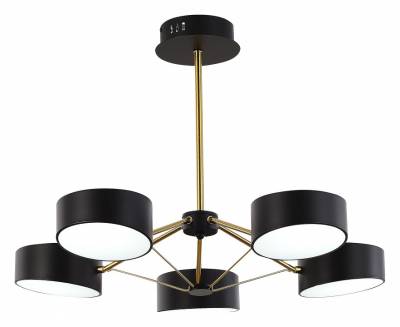 Люстра на штанге EVOLUCE Valle SLE6005-402-05 фото