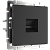 WL08-RJ-45/ Розетка Ethernet RJ-45 (черный матовый) фото